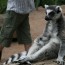 spolecnost:zoo2009:flash-thumbs:img_1037.jpg